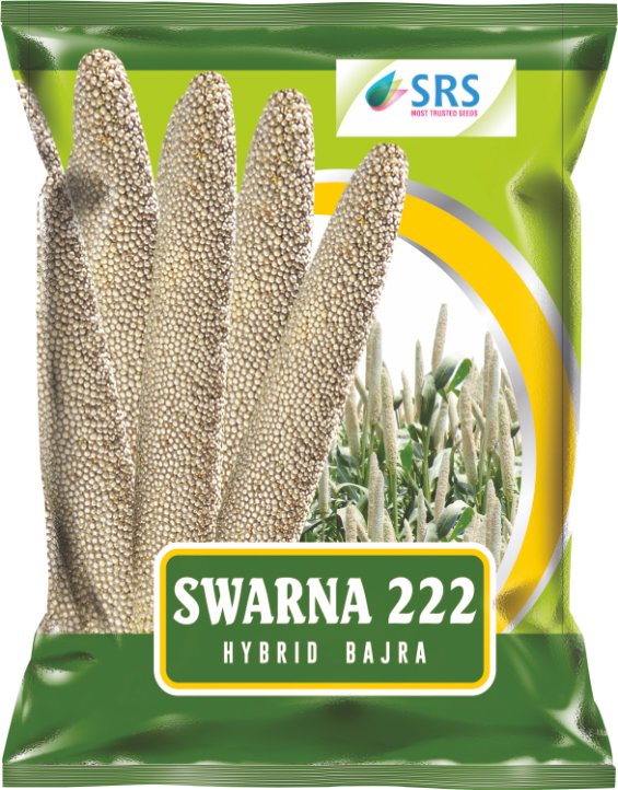 srs_bajra-swarna-222