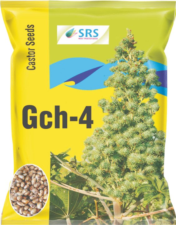 srs_castor-gch-14