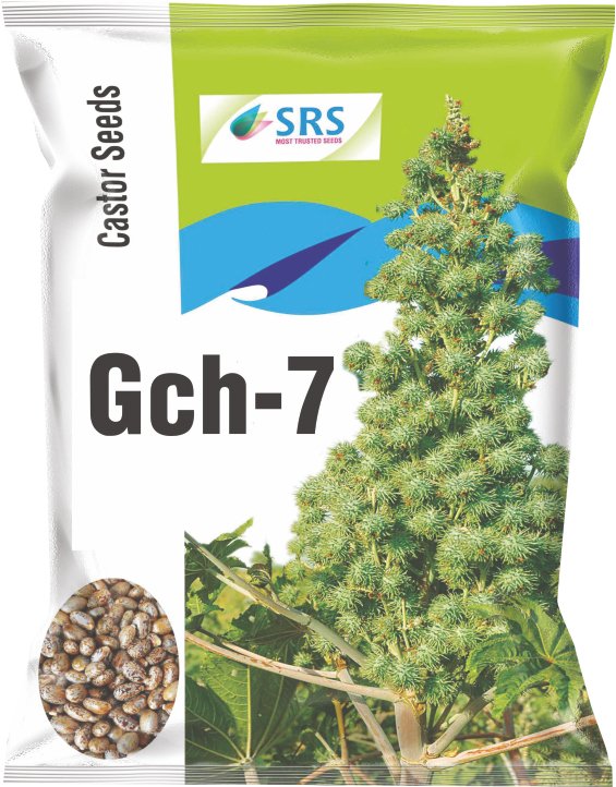 srs_castor-gch-7