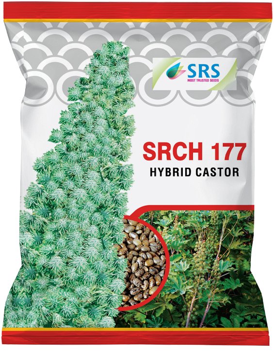 srs_castor-srch-177